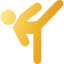 Icon Kickboxen